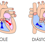 sístole e diástole