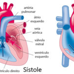 pressao arterial ciclo cardiaco 150x150 - PAM