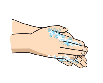 j - Técnica correta de higiene das mãos