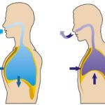 movimentos respiratorios 150x150 - pneumotorax
