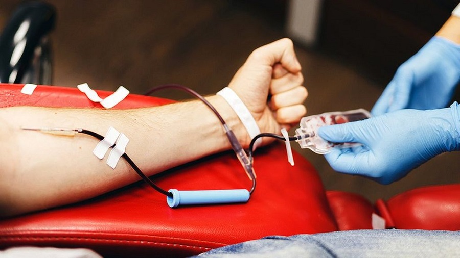 Doação De Sangue - Doação De Sangue - Quem pode, Como doar, Quais os cuidados