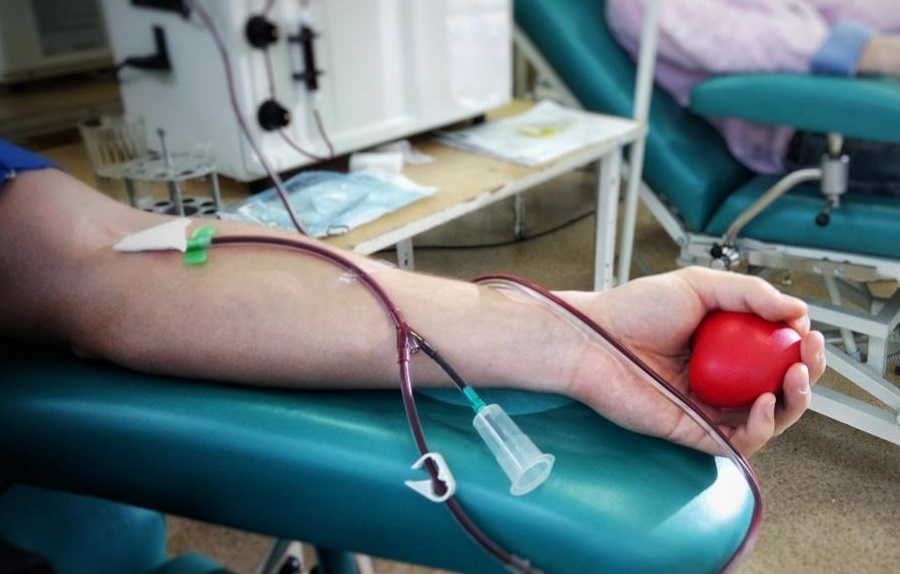 Transfusão Sanguínea - Transfusão Sanguínea E Os Cuidados Da Enfermagem