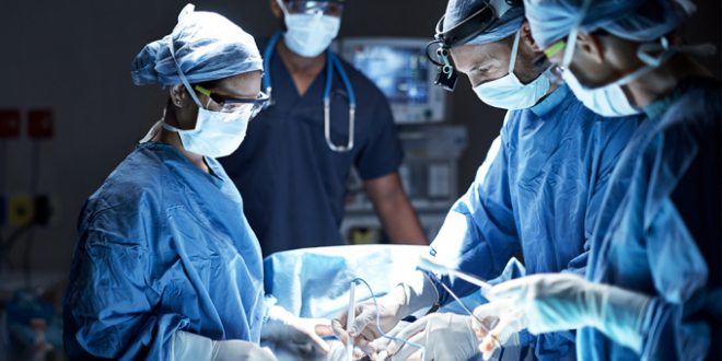 Transplante - Doação De Órgãos: Tudo Que Você Precisa Saber
