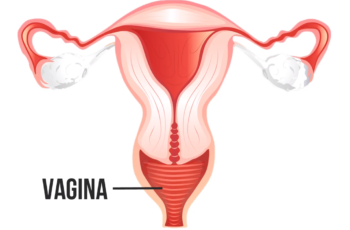 VAGINA