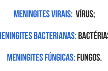 tipo de meningite